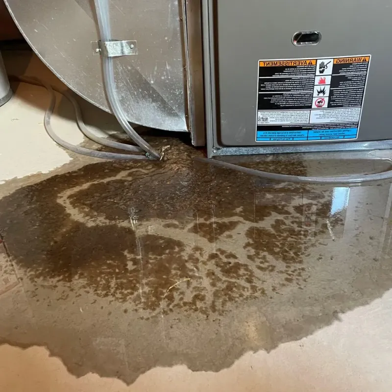Pipe Burst and Leak Restoration in Warsaw, KY