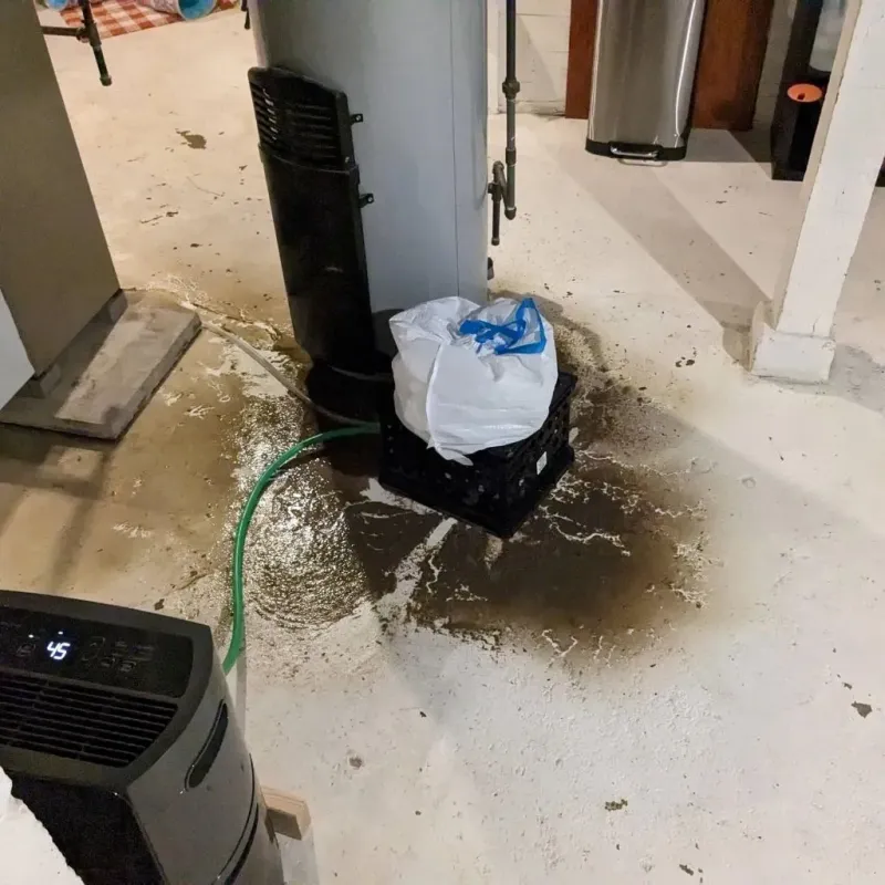 Sewage Backup Cleanup Service in Warsaw, KY